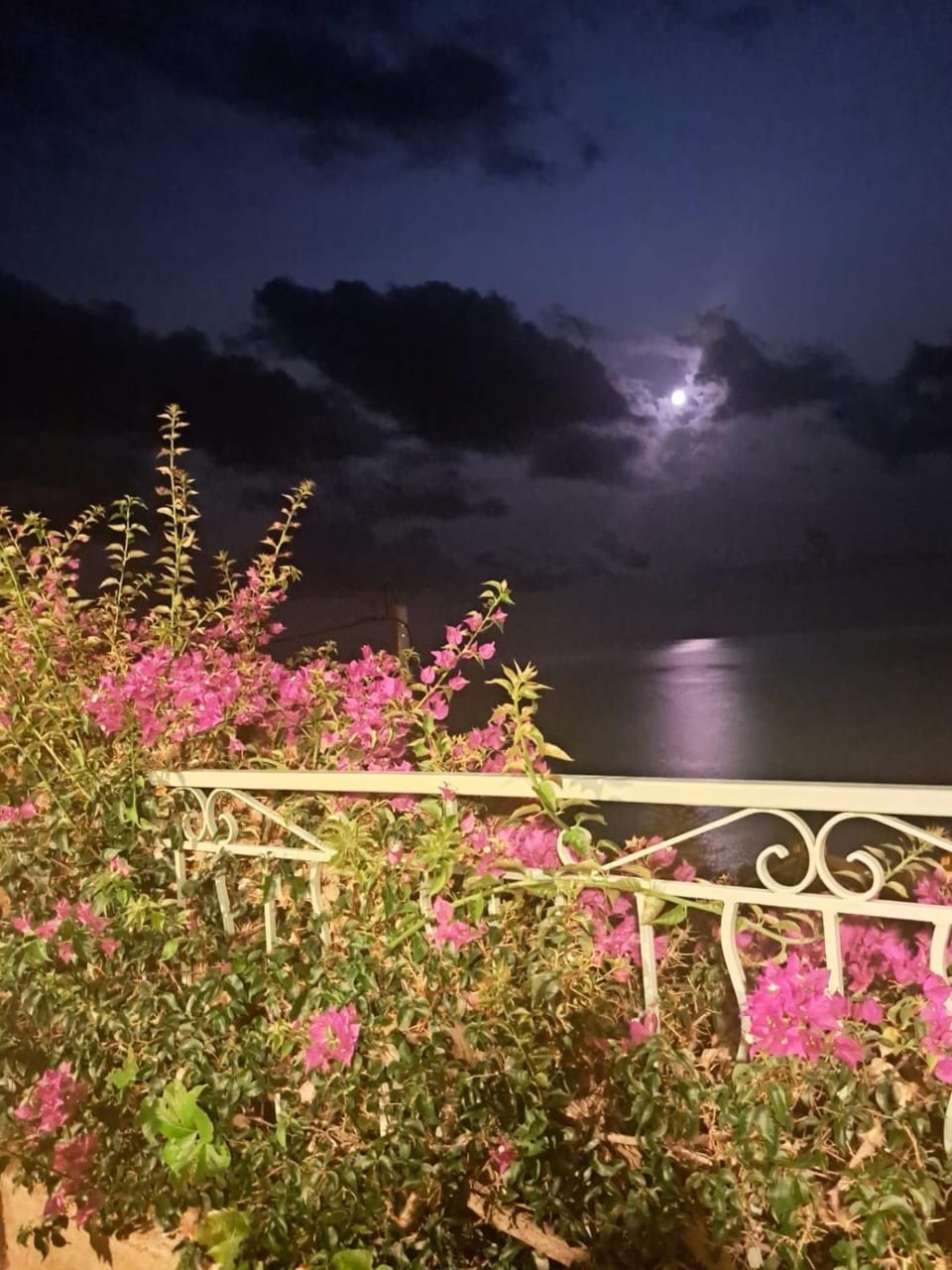 Villa Erbella with sea view from balcony and lovely garden Apartment in Nouvelle-Aquitaine
