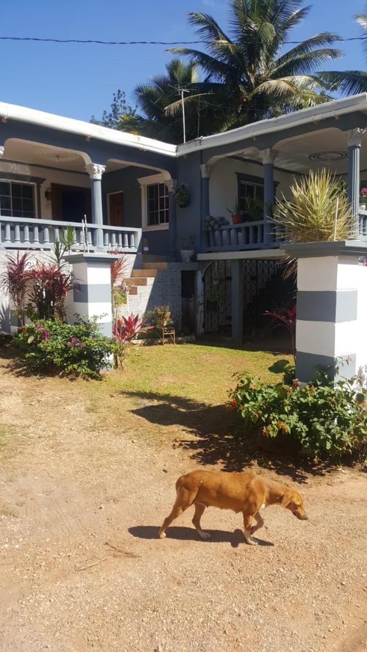Orange Hill Manor House in St. Ann Parish