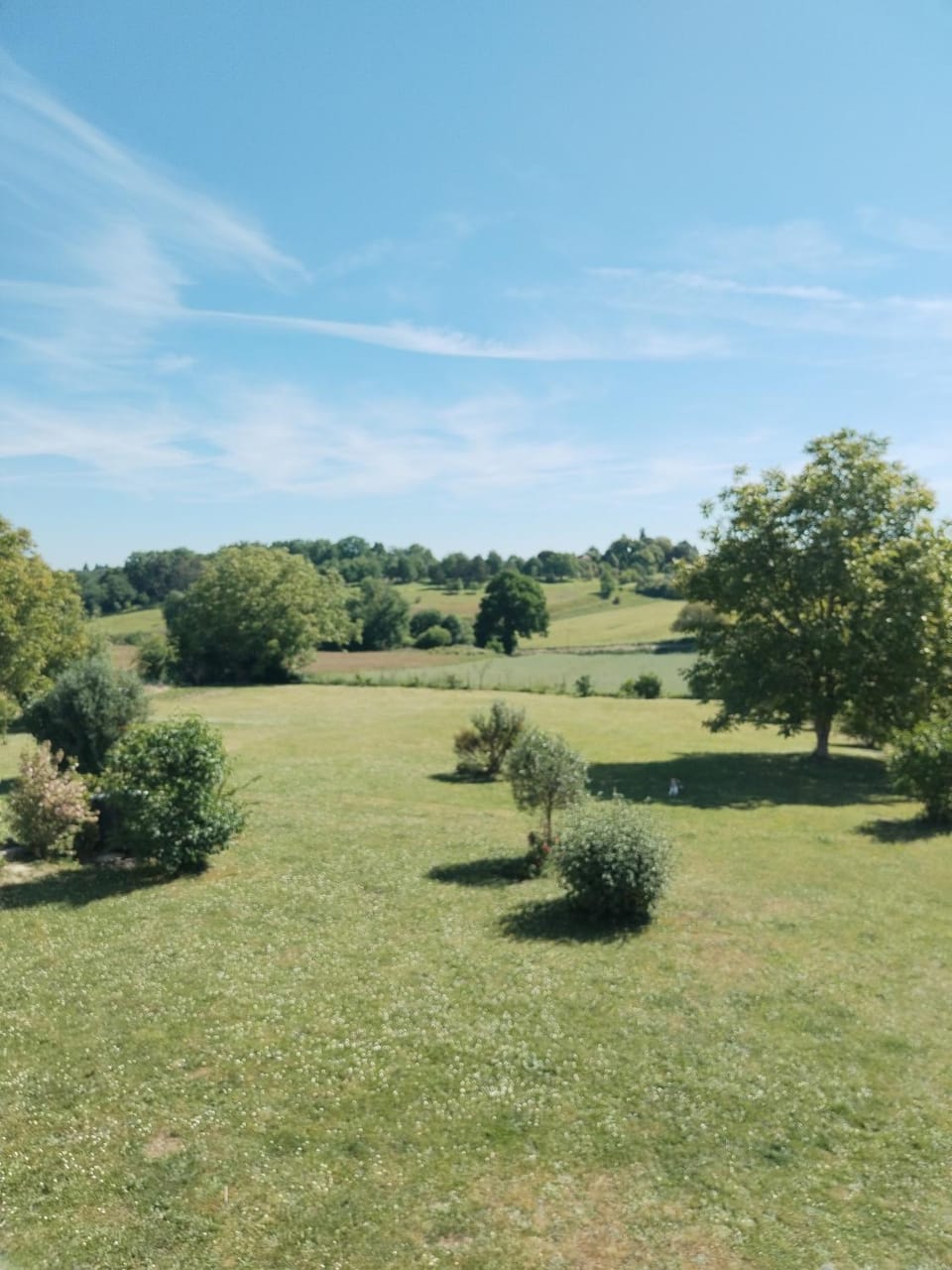 Natural landscape, Garden