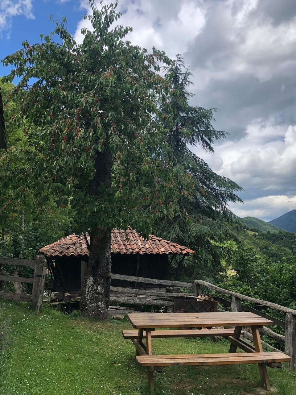 Garden, Garden view