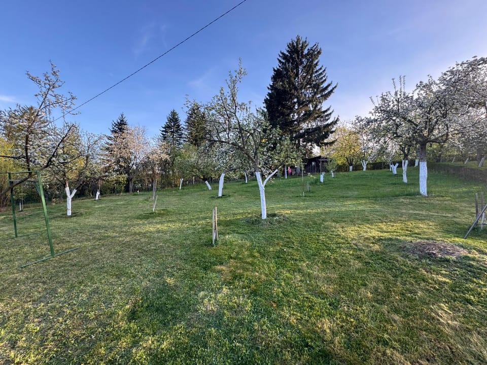Sarajevo Green Spot House in Sarajevo