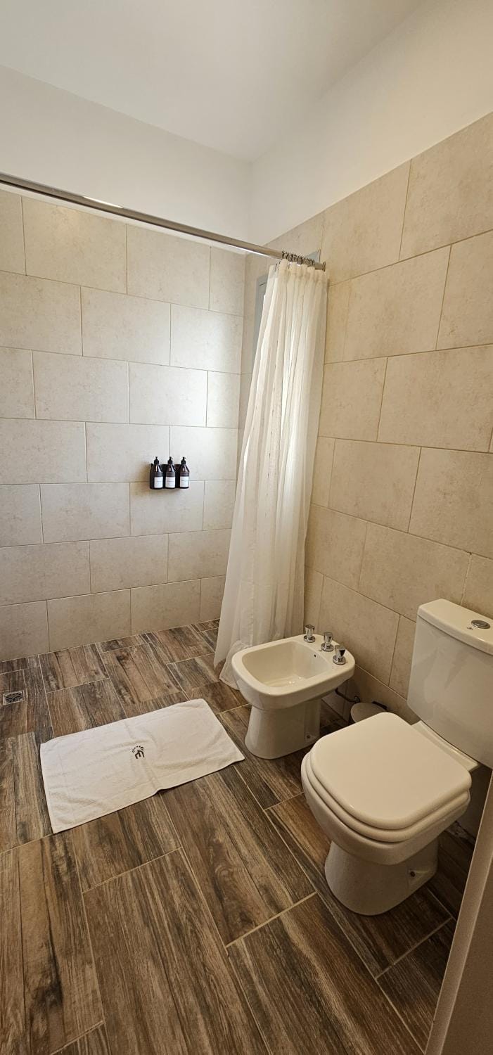 Shower, Toilet, Bathroom, bidet