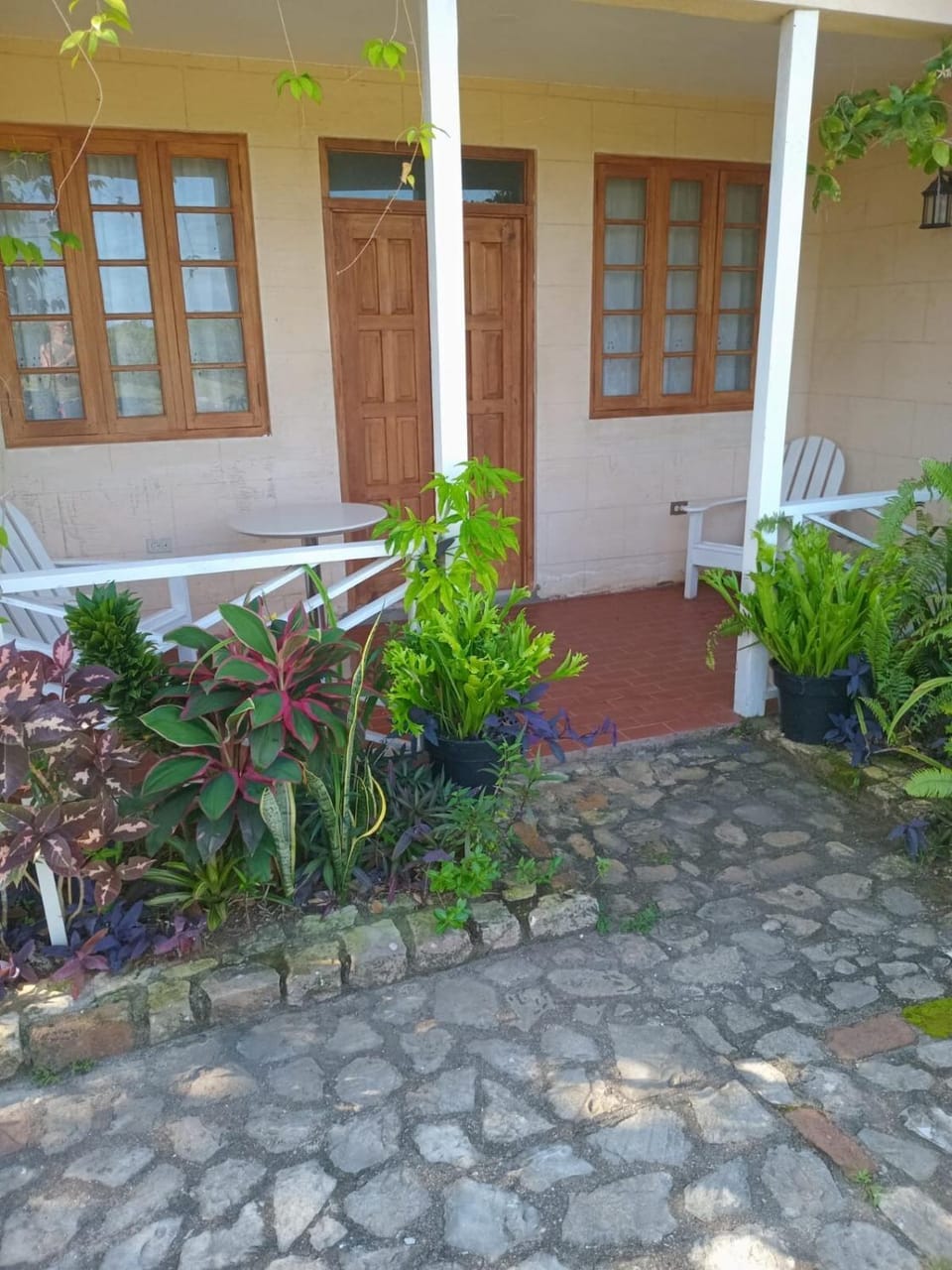 Escape to ParakeetHill B&B Villa in Westmoreland Parish