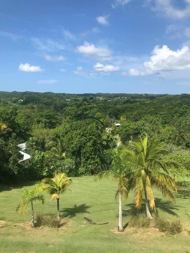 Escape to ParakeetHill B&B Villa in Westmoreland Parish