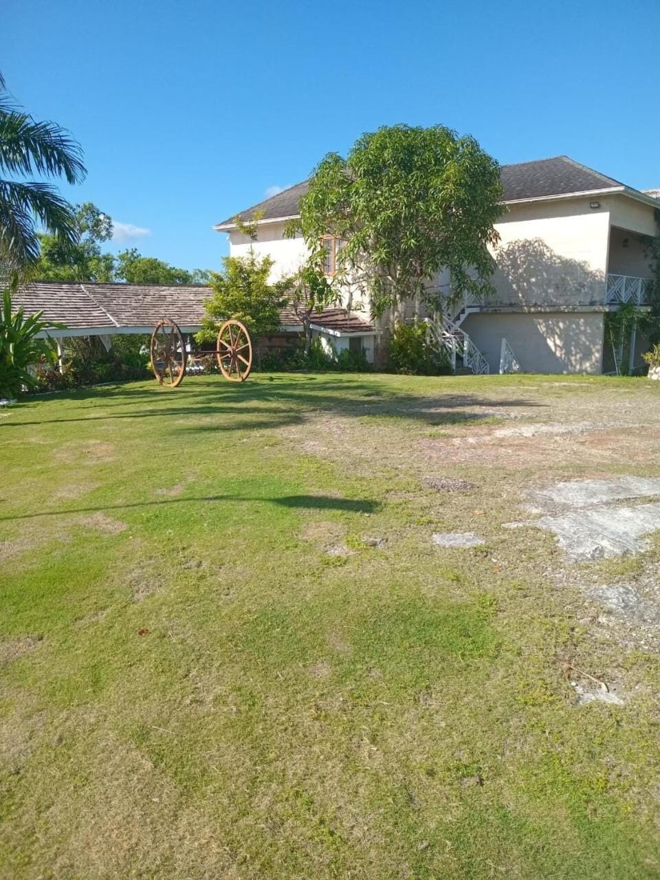Escape to ParakeetHill B&B Villa in Westmoreland Parish
