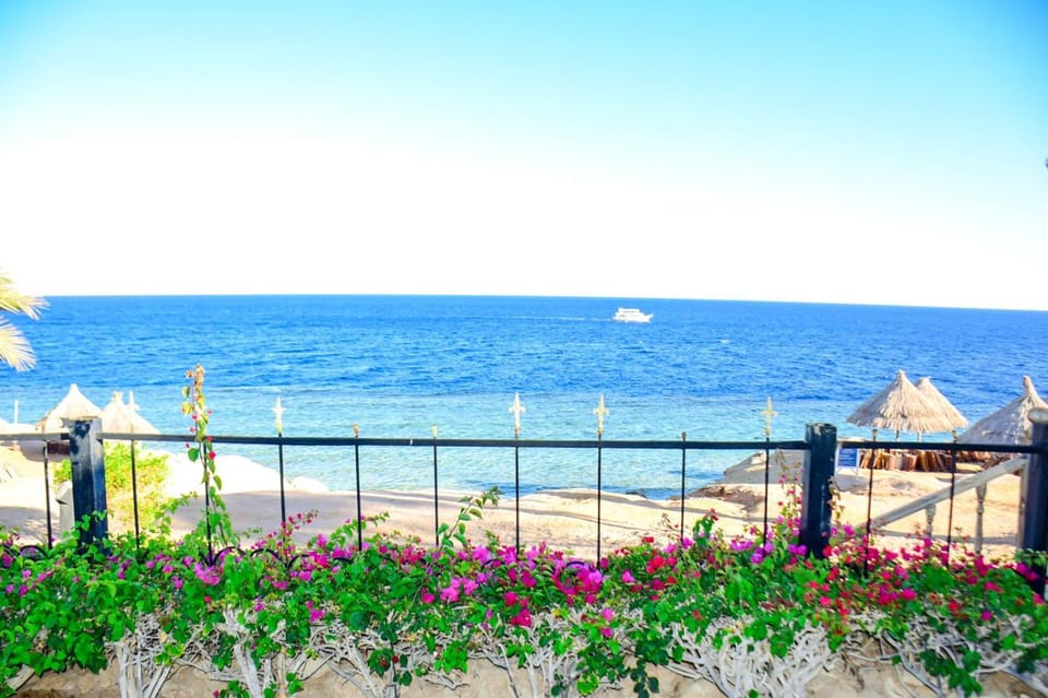villa in Sharm El sheikh Villa in Sharm El-Sheikh