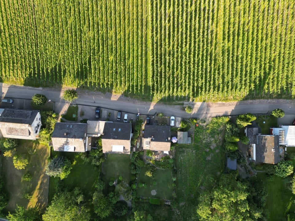 Property building, Spring, Day, Neighbourhood, Natural landscape, Bird's eye view, Street view