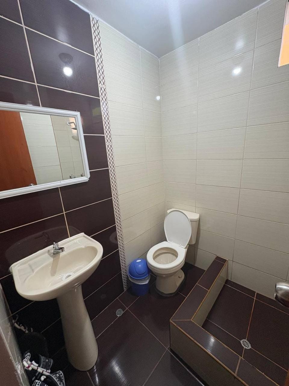 Toilet, Bathroom