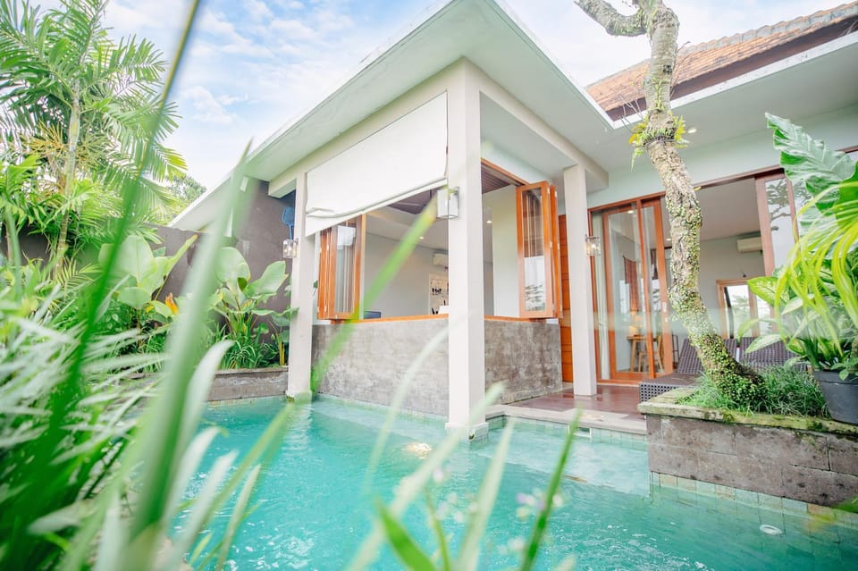 Property building, Spring, Day, Garden, Garden view, Pool view, Swimming pool, Swimming pool