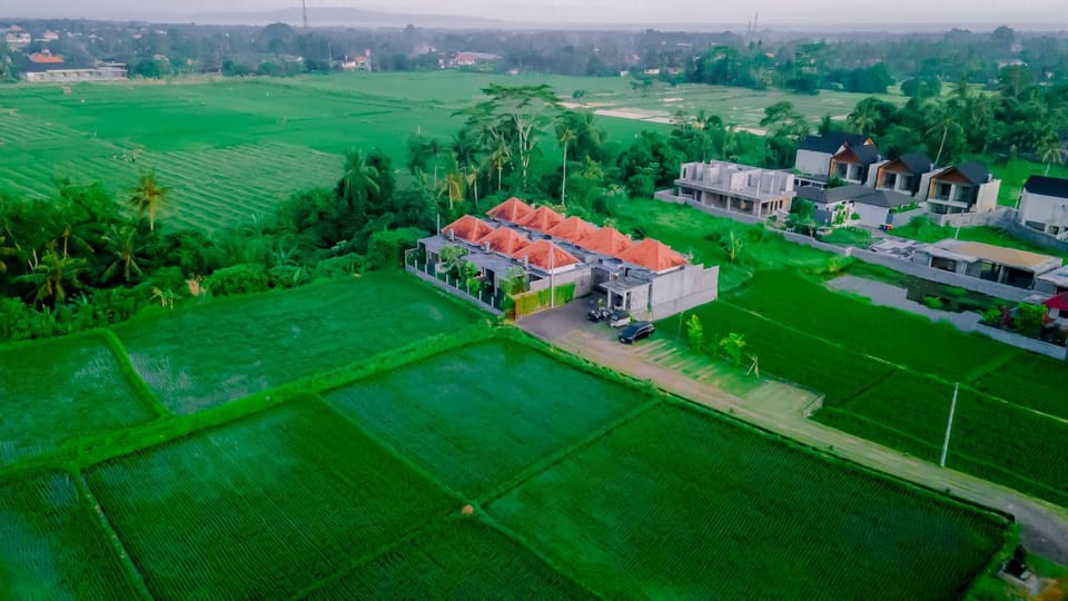 Property building, Spring, Natural landscape, Bird's eye view