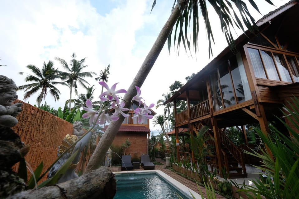 Garden, Pool view