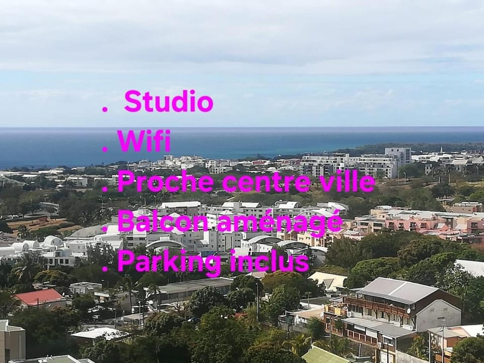 Le Panorama - Vue mer, Proche centre ville et CHU Apartment in Saint-Denis