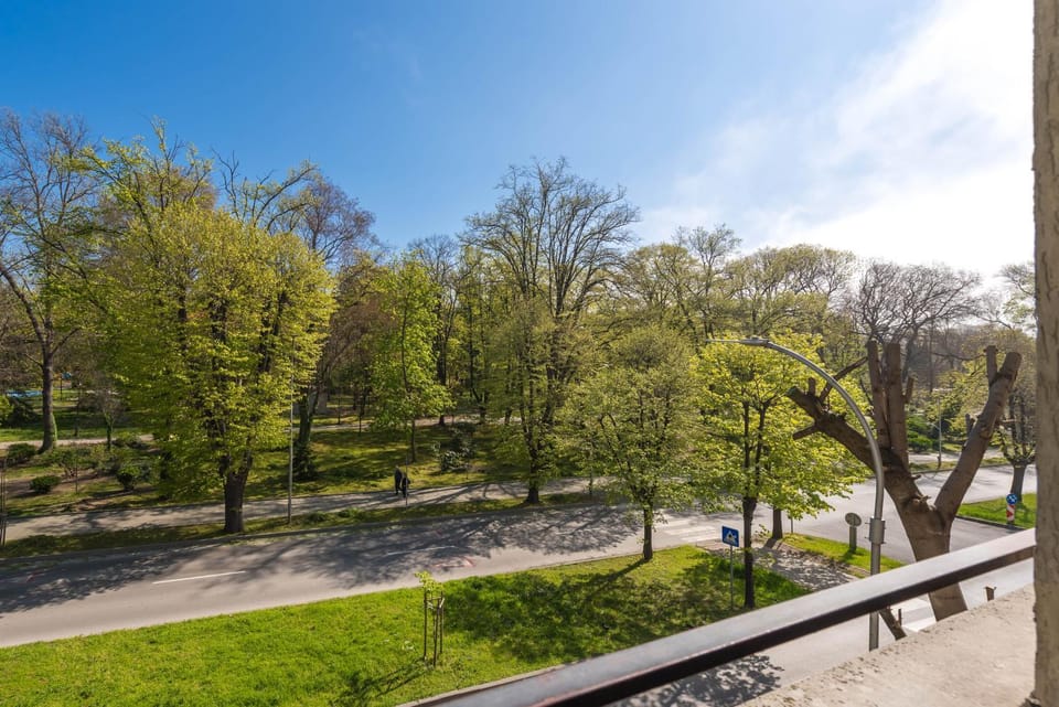 Spring, Natural landscape, Garden