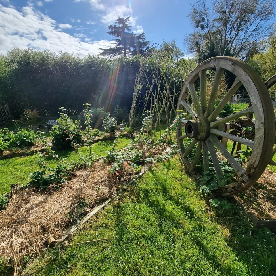 Spring, Garden