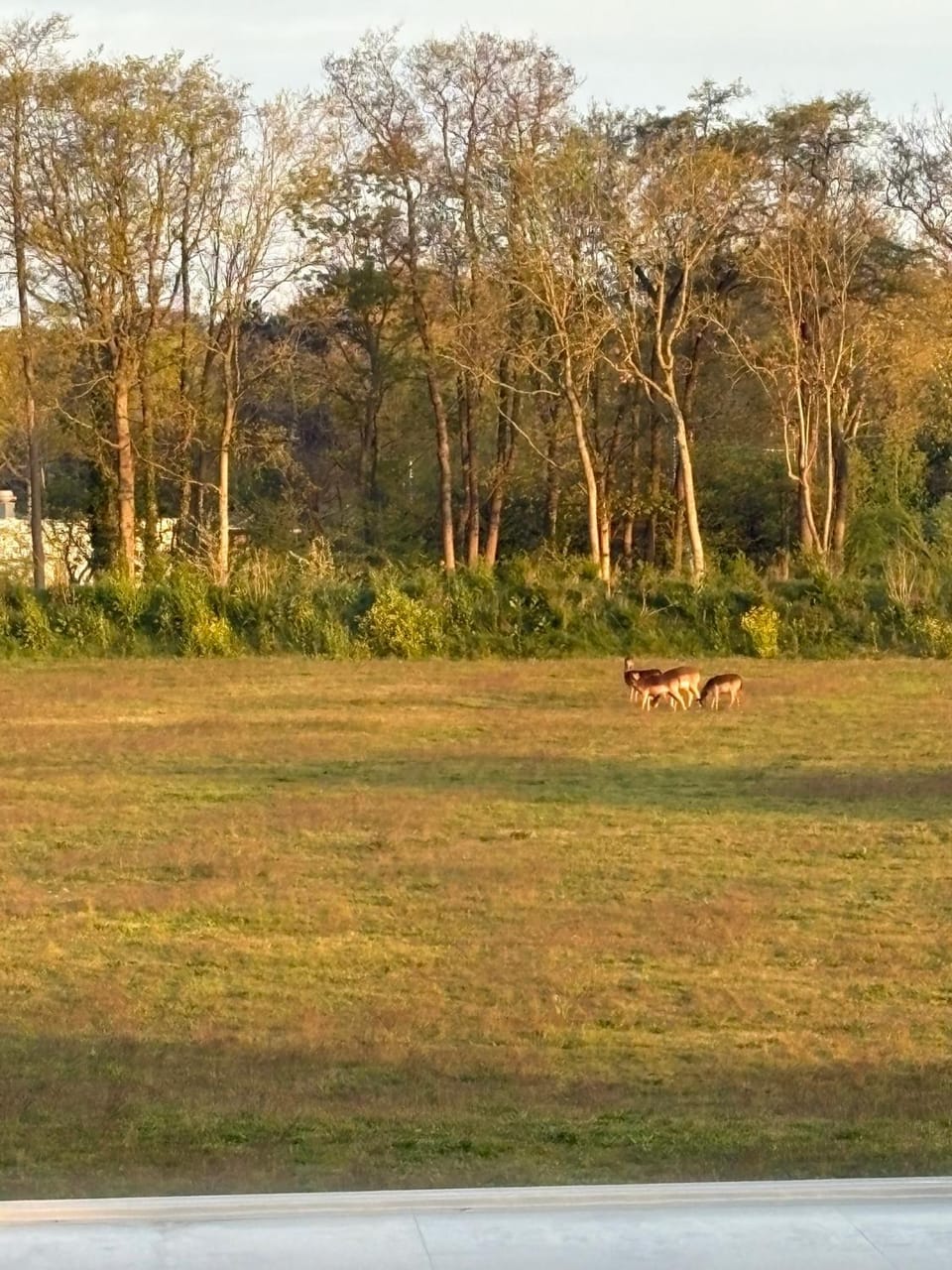 Natural landscape
