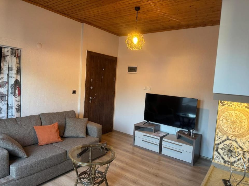 1 bedroom close to bus station and MALL 200 mb wifi Apartment in Fethiye