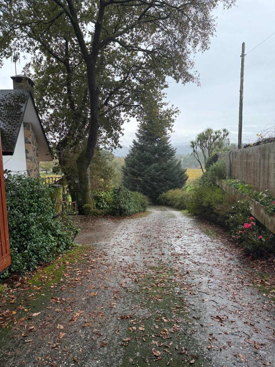 Garden view, Street view