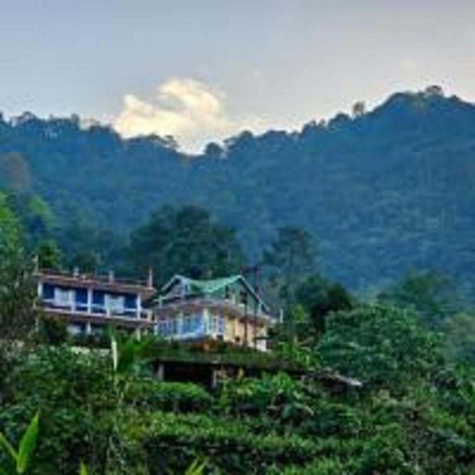 Natural landscape