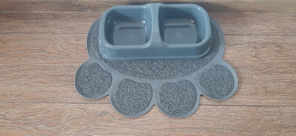 Apartament Modrzewiowa Apartment in Lithuania