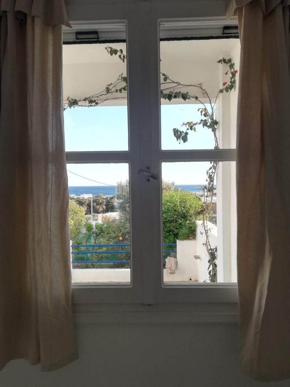 View (from property/room)