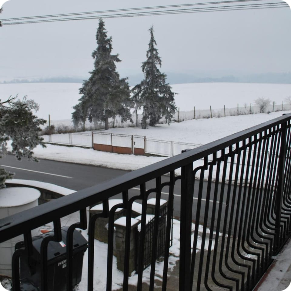 Winter, View (from property/room)