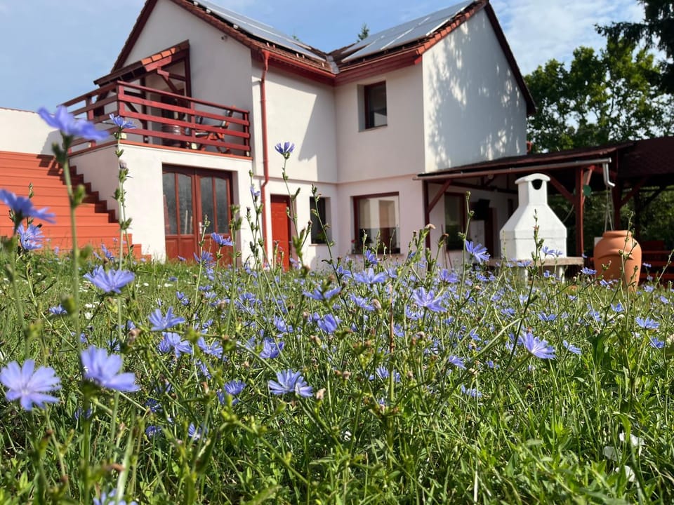 Property building, Garden, Garden view