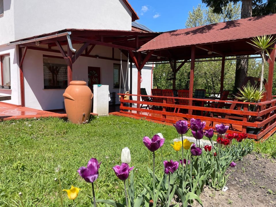Spring, Garden