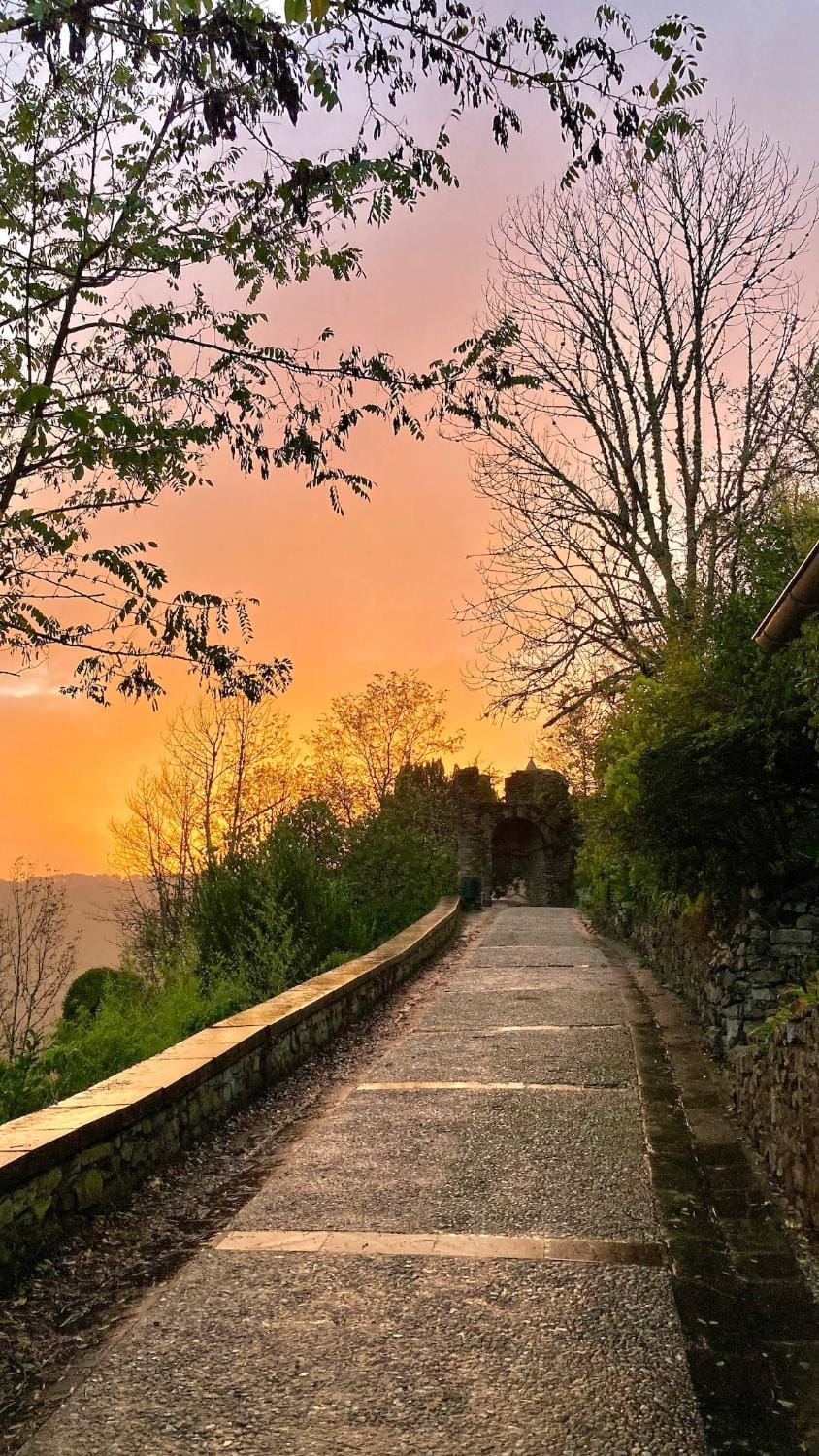 Spring, Natural landscape, Sunset