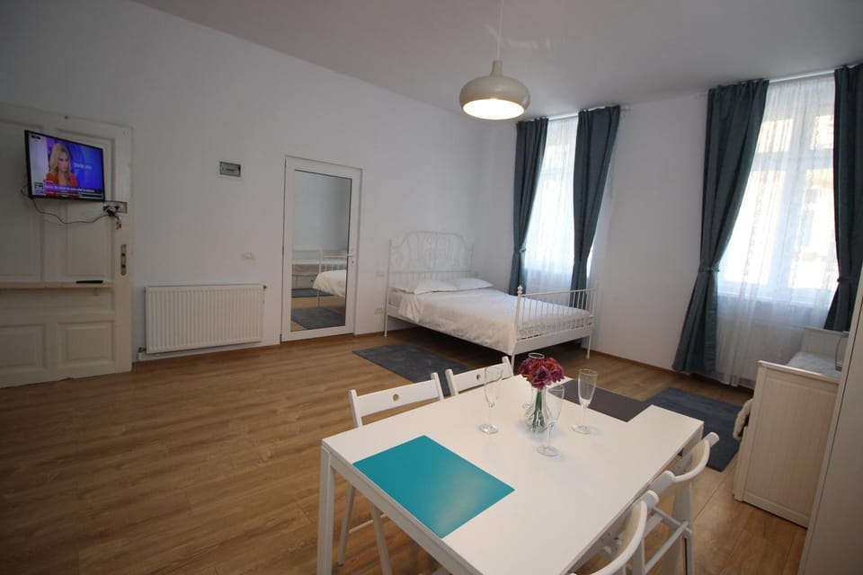 Under Tampa Grand Studio House in Brasov