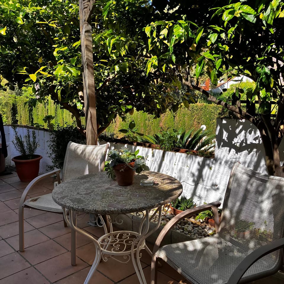 Patio, Spring, Day, Garden, Garden view