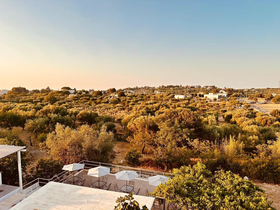 Patio, Natural landscape