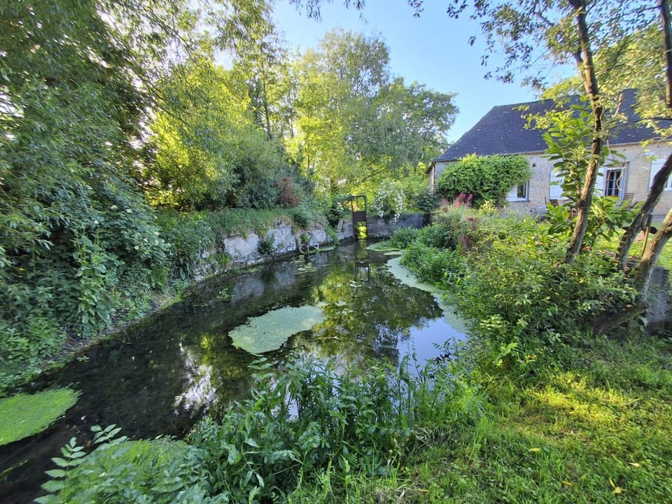 River view, River view