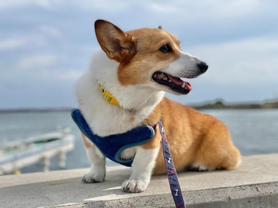 ちゅらパレス c Apartment in Okinawa Prefecture