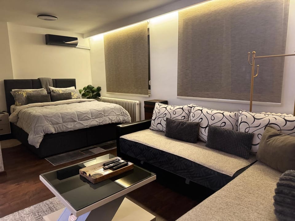 Bed, TV and multimedia, Living room, Photo of the whole room, Seating area, air conditioner