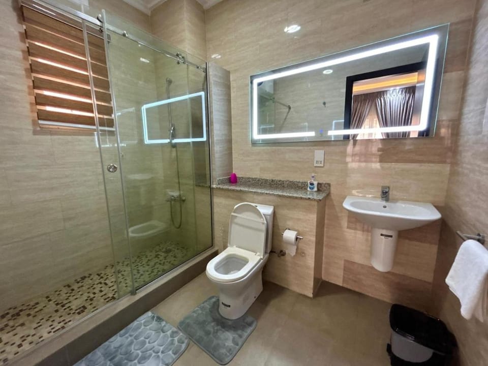 3 Bedroom Perfectly Furnished apartment in Ikoyi Apartment in Lagos