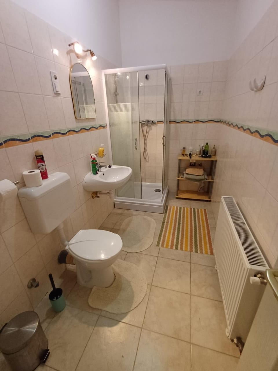 Shower, Toilet, Property building, Bathroom, bidet