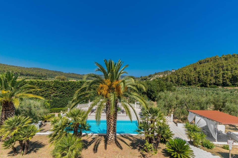 Garden, Swimming pool