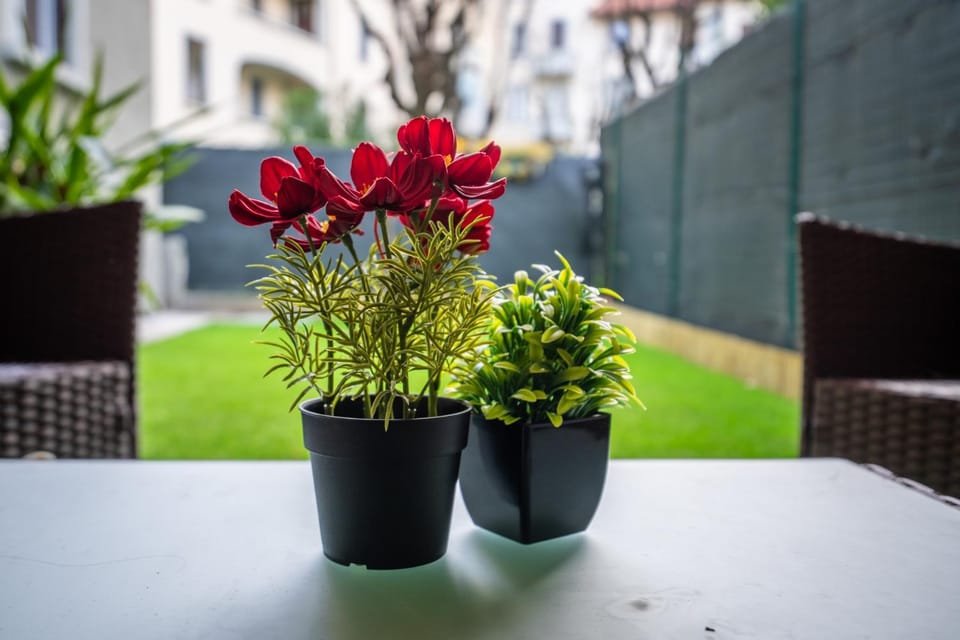 Garden view