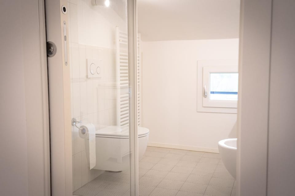 Shower, Toilet, Bathroom, bidet