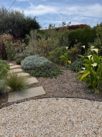 Spring, Day, Garden