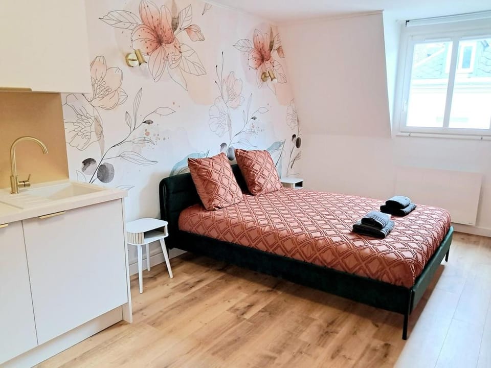 "Le Cocon de la Fontaine Neptune" Apartment in Arras