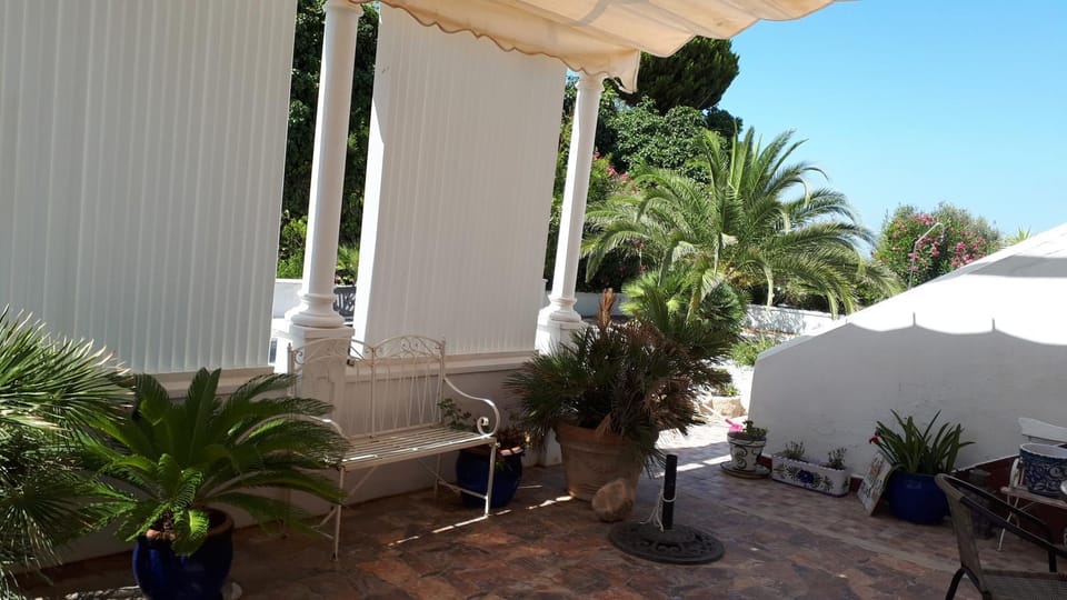 Palm tree villa Villa in Río de Torrox