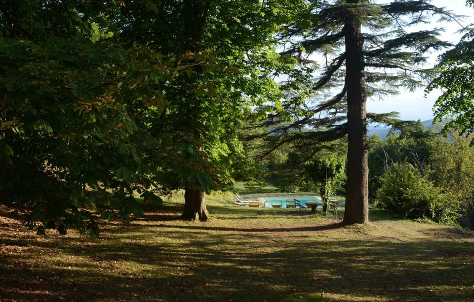 Garden, Garden view, Pool view