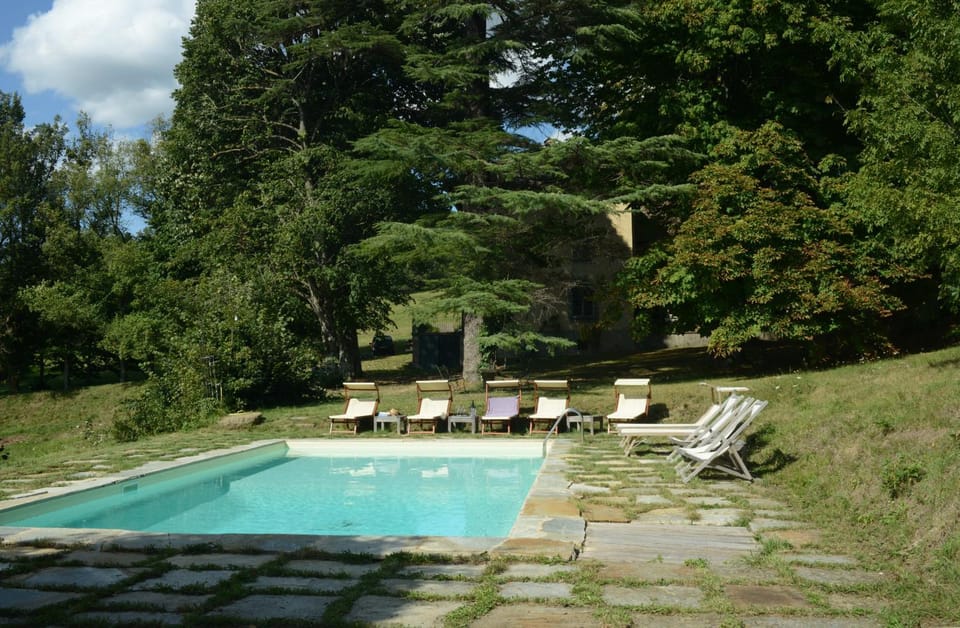 Garden, Garden view, Pool view, Swimming pool