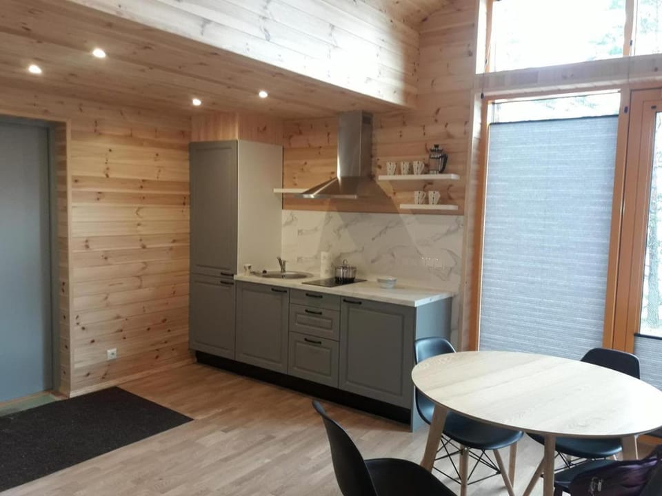 Kitchen or kitchenette, Dining area, stove