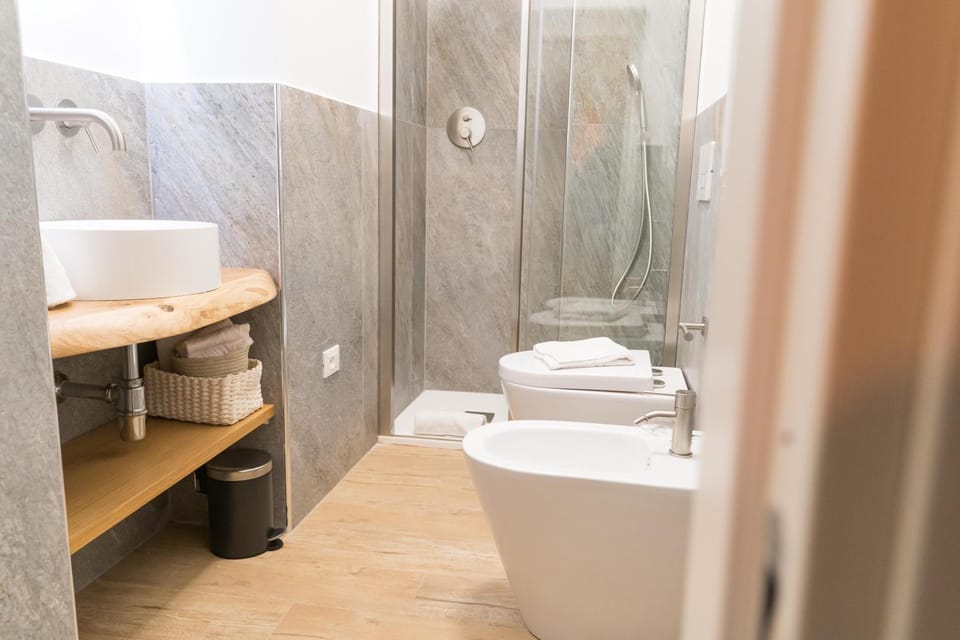 Shower, Toilet, Bathroom, bidet