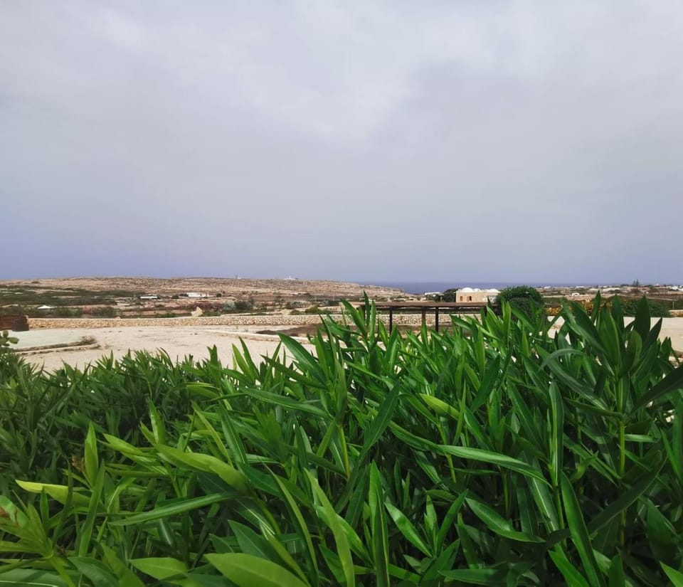 Dammuso Grecale Apartment in Sicily