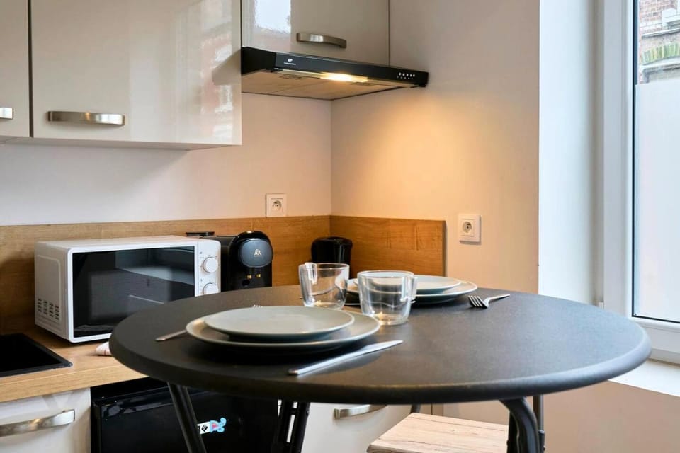 Charmant studio proche de la Gare Lille Flandres Apartment in Lille