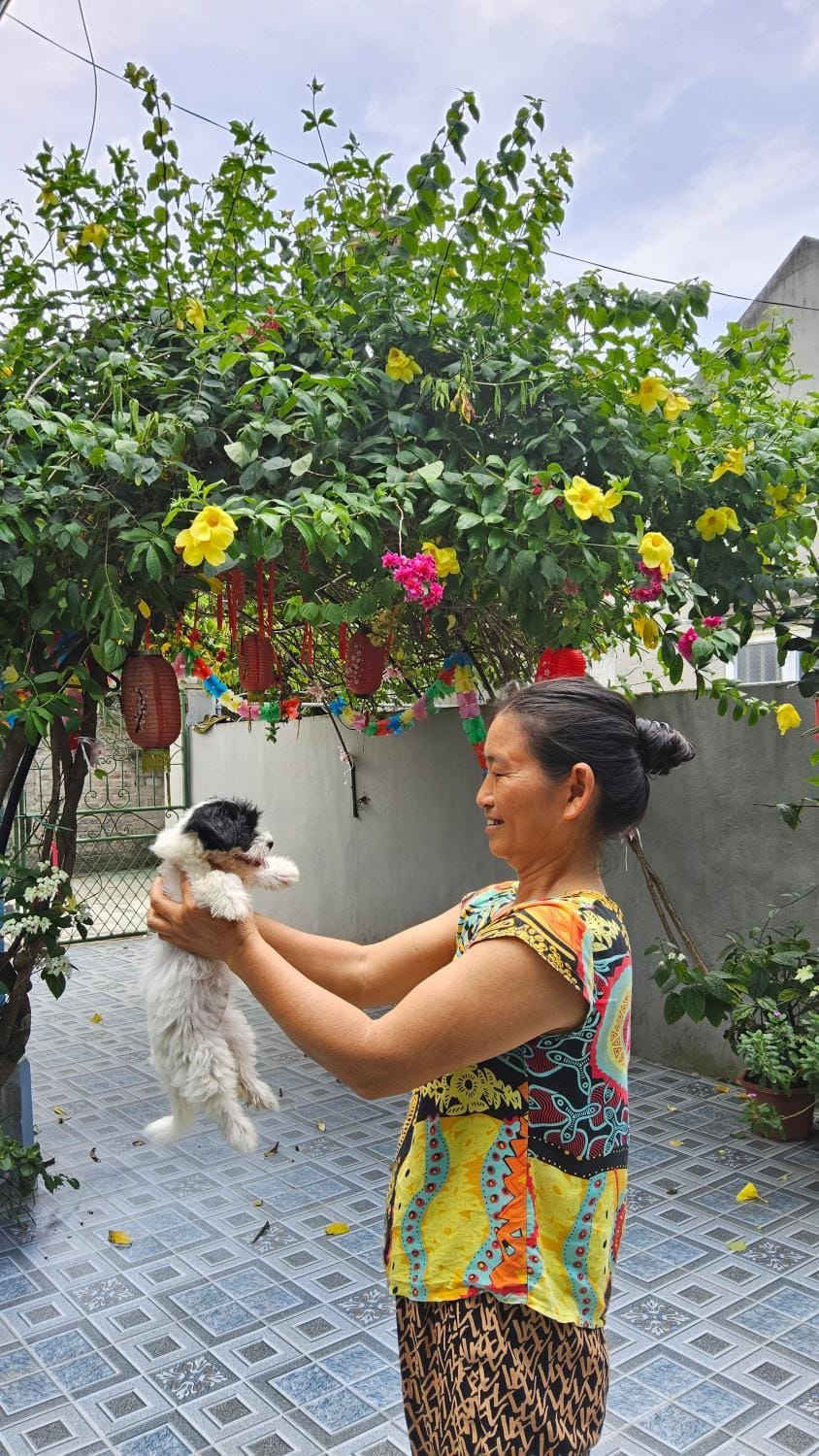 People, Garden, Pets