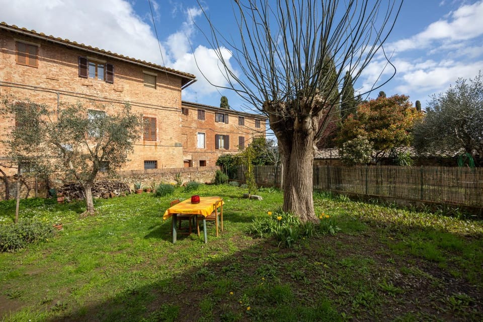 Natural landscape, Garden, Garden view